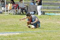 picnic_land_D-0092.jpg