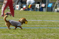 picnic_land_D-0096.jpg
