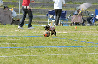 picnic_land_D-0097.jpg