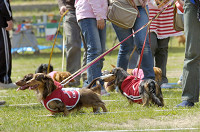 picnic_land_D-0100.jpg