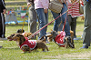 picnic_land_D-0100_thumb.png