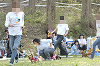 picnic_land_D-0109_thumb.png