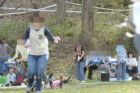picnic_land_D-0110.jpg