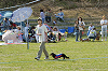 picnic_land_D-0115_thumb.png