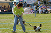 picnic_land_D-0116_thumb.png