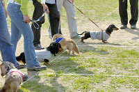 picnic_land_D-0117.jpg
