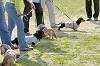 picnic_land_D-0117_thumb.png