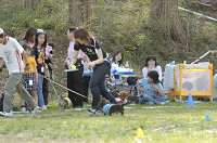 picnic_land_D-0119.jpg
