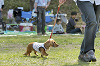 picnic_land_D-0120_thumb.png