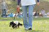 picnic_land_D-0121_thumb.png