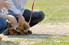 picnic_land_D-0122_thumb.png