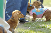 picnic_land_D-0125.jpg