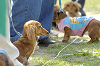 picnic_land_D-0125_thumb.png