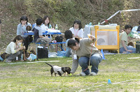 picnic_land_D-0135.jpg