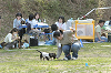 picnic_land_D-0135_thumb.png