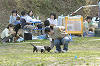 picnic_land_D-0136_thumb.png