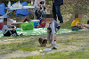picnic_land_D-0140_thumb.png