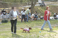 picnic_land_D-0145.jpg
