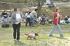 picnic_land_D-0145_thumb.png