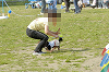 picnic_land_D-0146_thumb.png