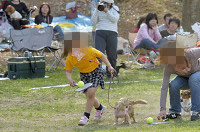 picnic_land_D-0152.jpg