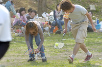picnic_land_D-0153.jpg