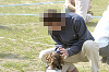 picnic_land_D-0156_thumb.png