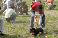 picnic_land_D-0157.jpg