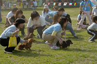 picnic_land_D-0158.jpg