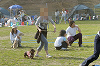 picnic_land_D-0160_thumb.png
