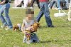 picnic_land_D-0161_thumb.png