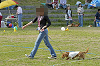 picnic_land_D-0163_thumb.png