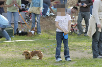 picnic_land_D-0164.jpg