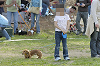 picnic_land_D-0164_thumb.png
