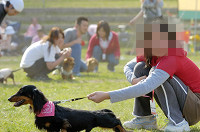 picnic_land_D-0165.jpg