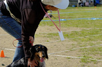 picnic_land_D-0169.jpg