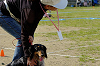 picnic_land_D-0169_thumb.png