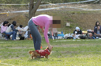 picnic_land_D-0170.jpg