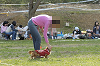picnic_land_D-0170_thumb.png