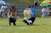 picnic_land_D-0173_thumb.png
