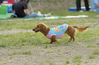 picnic_land_D-0177.jpg