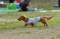 picnic_land_D-0178.jpg