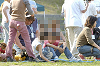 picnic_land_D-0179_thumb.png