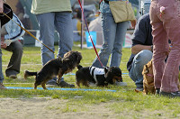 picnic_land_D-0196.jpg