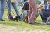 picnic_land_D-0197_thumb.png