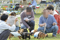 picnic_land_D-0202.jpg
