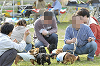 picnic_land_D-0202_thumb.png