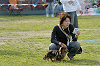 picnic_land_D-0203_thumb.png