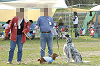 picnic_land_D-0205_thumb.png