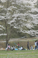 picnic_land_D-0208.jpg